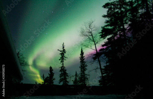 northern lights in the sky at night in winter with trees