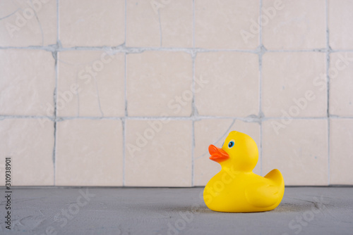 Baby yellow duck for on the shelf in the bathroom