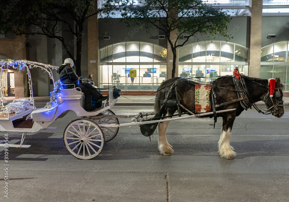 A Christmas horse and carriage
