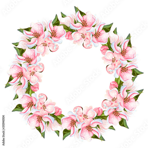 Fototapeta Naklejka Na Ścianę i Meble -  Watercolor apple blossoming tree wreath isolated on white. Hand drawn floral frame with flowers, leaves and buds. Perfect for invitations, design and wedding cards.