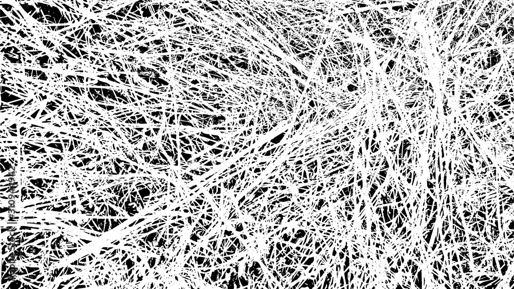 Grunge Pattern. Net, fabric or paper macro structure. Black white texture. Distress grain. Random long stalk grass texture. Grungy dirty overlay. Stock vector illustration Grunge Pattern. Net, fabric or paper macro structure. Black white texture. Distress grain. Random long stalk grass texture. Grungy dirty overlay. Stock vector illustration