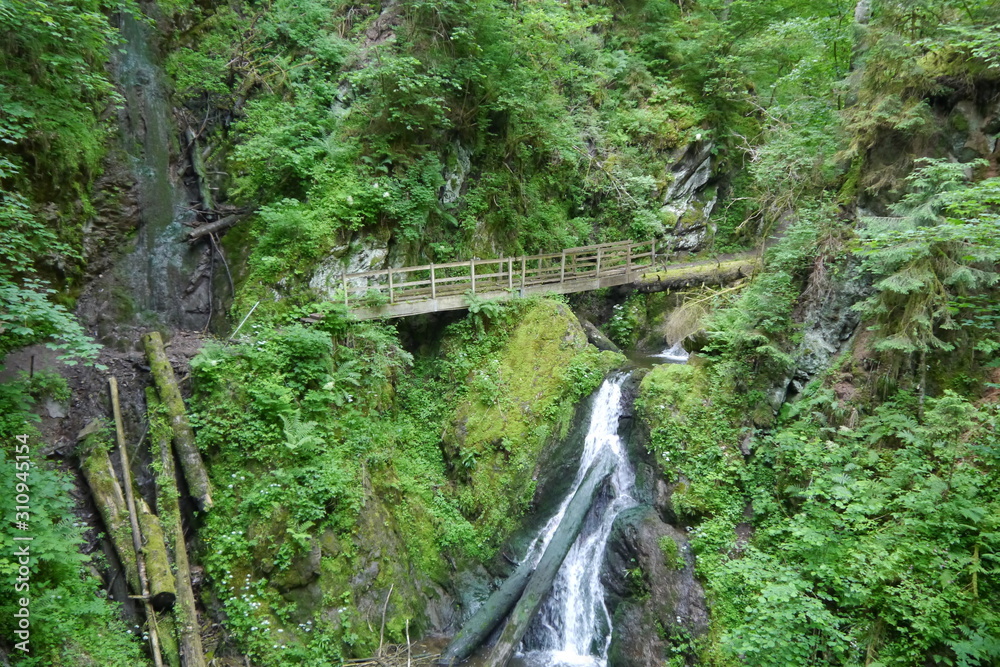 Lotenbachklamm Wutachschlucht im Schwarzwald Lotenbachklamm Wutachschlucht im Schwarzwald