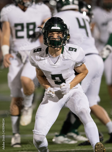 Action photos of football players making amazing plays during a football game
