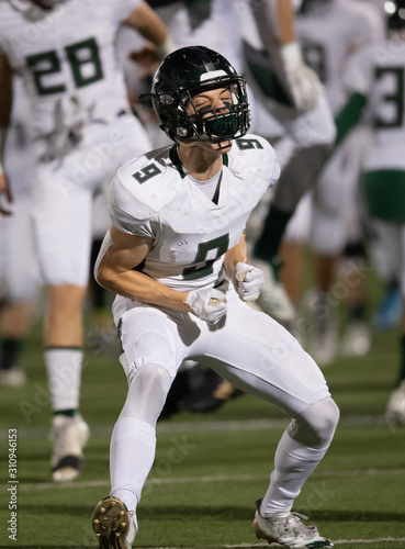 Action photos of football players making amazing plays during a football game