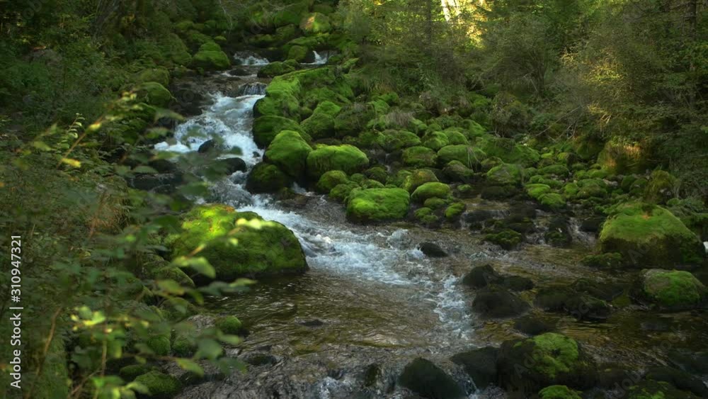 Mountain stream flowing, mossy rocks and forest in scene, slow motion shot. Mountain stream flowing, mossy rocks and forest in scene, slow motion shot.