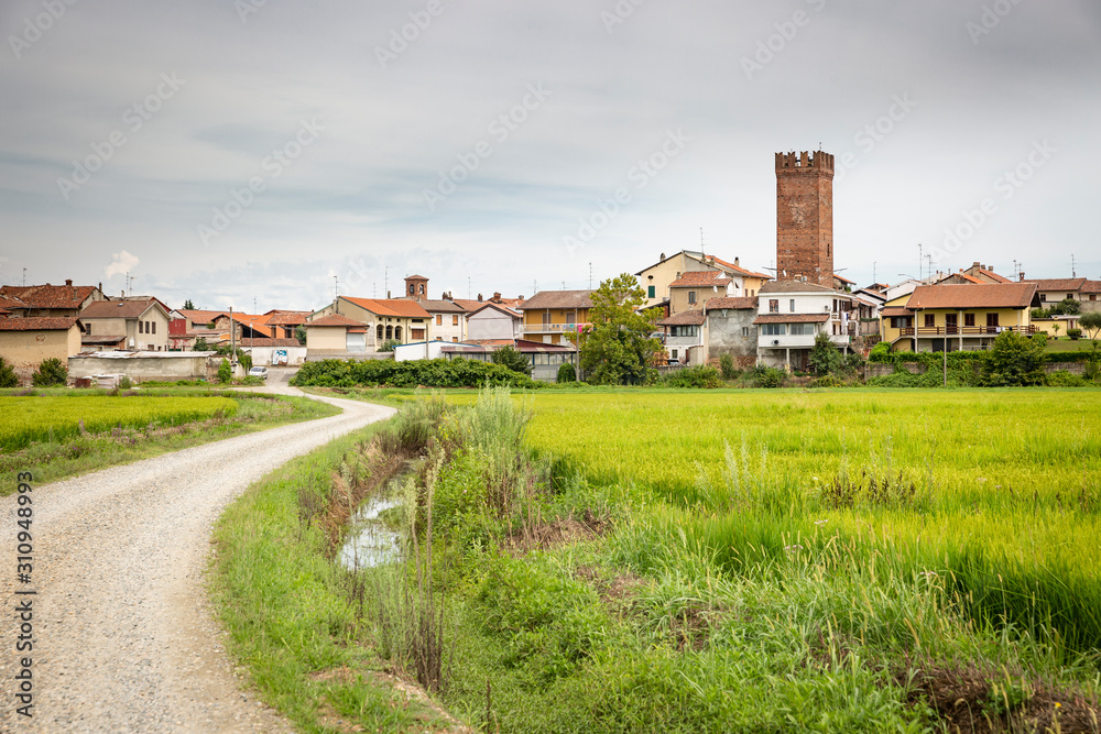 gravel road through rice fields approaching Palestro town, province of Pavia, Lombardy region, Italy