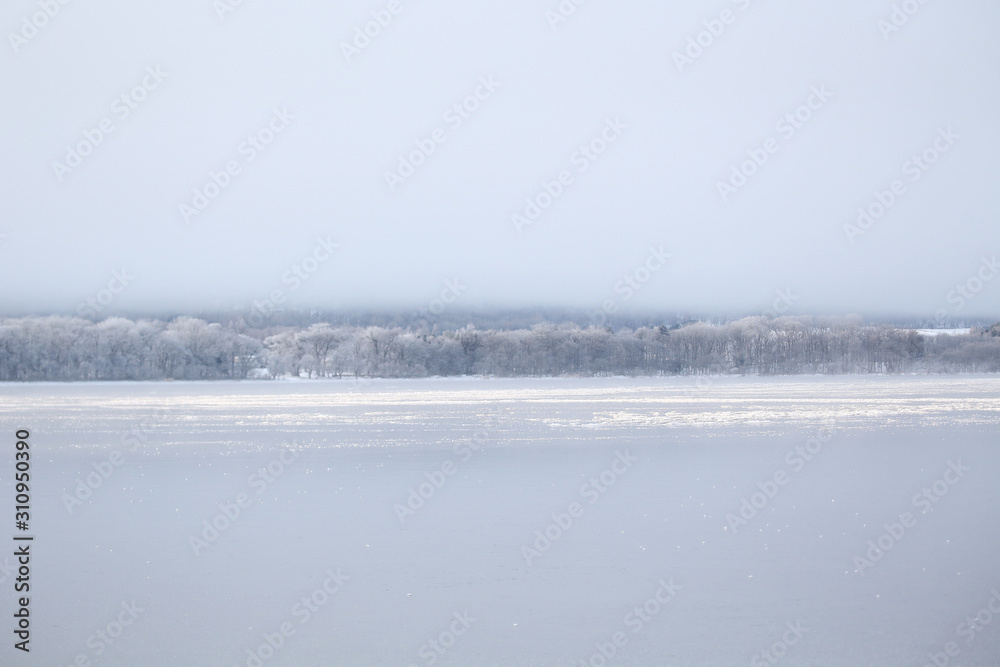 凍結の屈斜路湖と樹氷