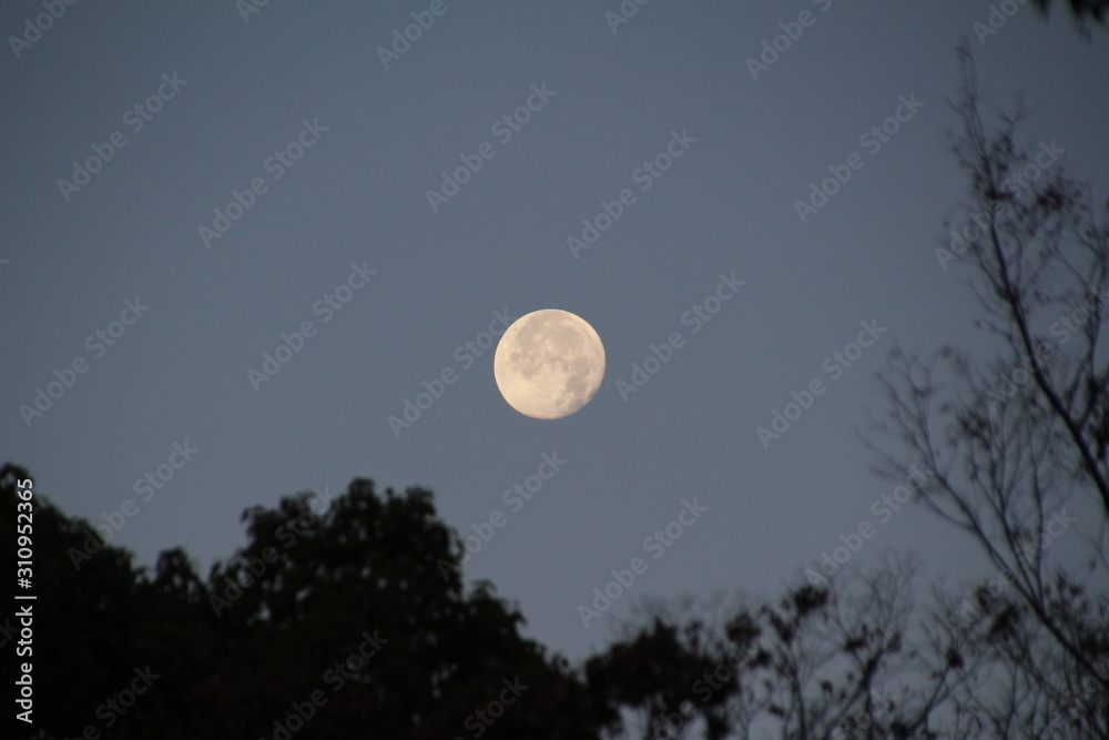 Super Blood Moon 2019.12.14 Nagoya Super Blood Moon 2019.12.14 Nagoya