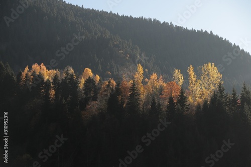 Autumn mountain forest village landscape. Mountain village in autumn. © murat