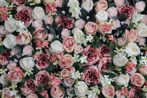 Colorful beauty pink and white roses backdrop for Valentines day wedding concept background