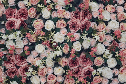 Fototapeta Naklejka Na Ścianę i Meble -  Colorful beauty pink and white roses backdrop for Valentines day wedding concept background