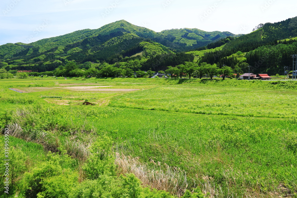 岩手遠野 日本の原風景 新緑の季節 Stock Photo | Adobe Stock