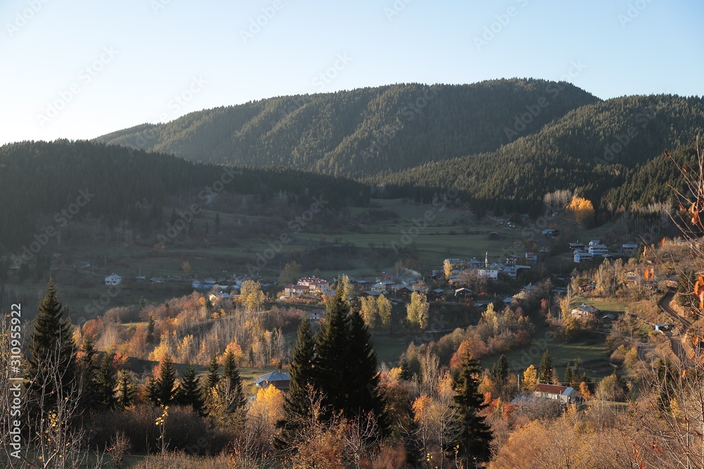 Autumn mountain forest village landscape. Mountain village in autumn.