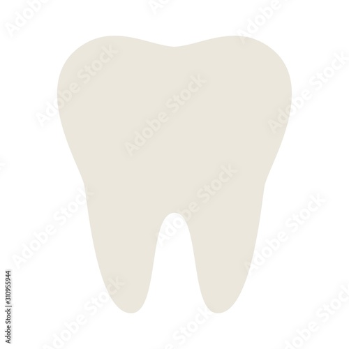 Whole molar vector icon flat isolated