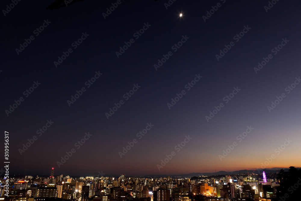 城山より見る鹿児島市街地の夜景	