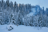 Mountain landscape. Winter forest, snowy trees. A small house in the forest, smoke from the chimney. Wild place in Siberia.