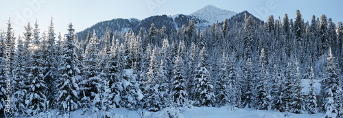 Mountain landscape. Scenic panoramic view. Winter forest, snowy trees. Wild place in Siberia.