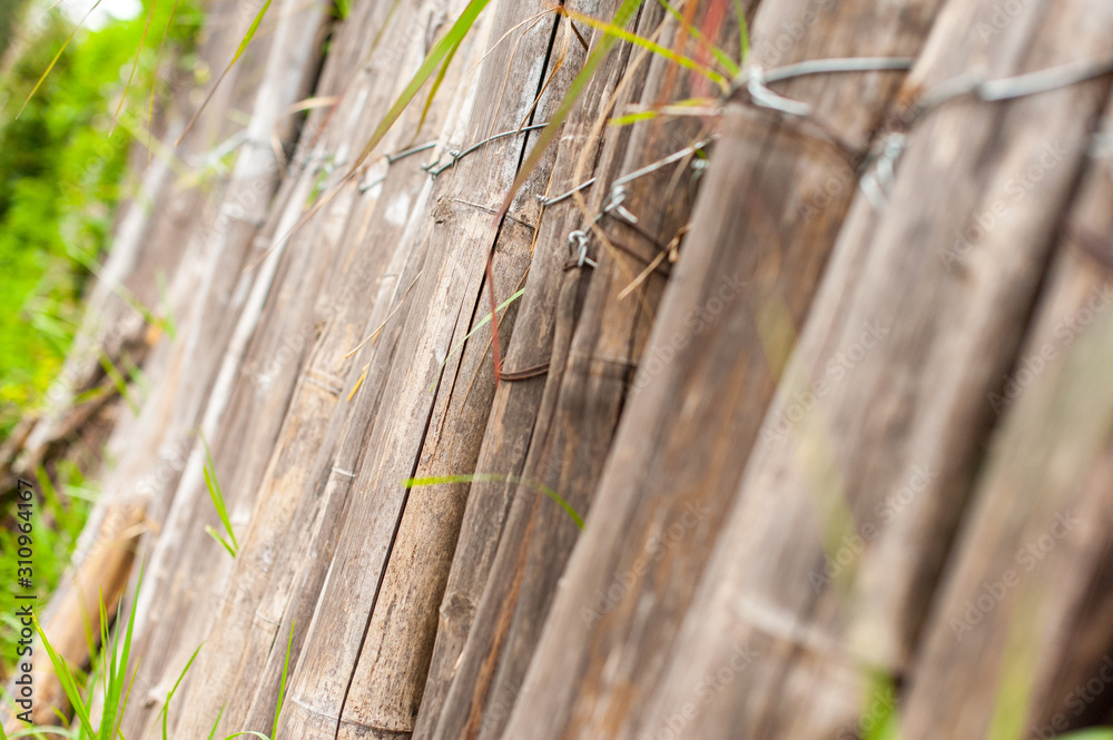 Obraz premium Bamboo fence