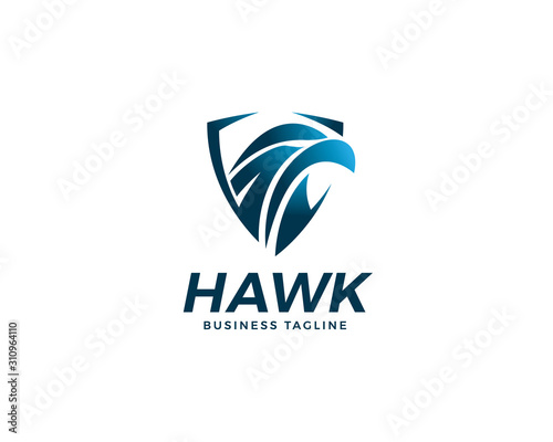 Hawk logo design
