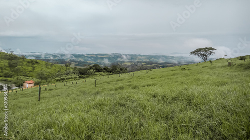 Rural landscape with cloudy weather and green woods.