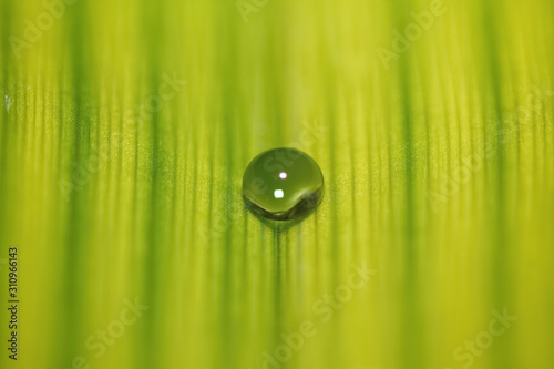 Water drop macro in the center of a symmetrical sheet with the upper and lower areas out of focus