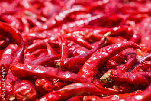 thai red chili pepper