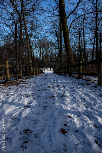 Snow on a path in the park