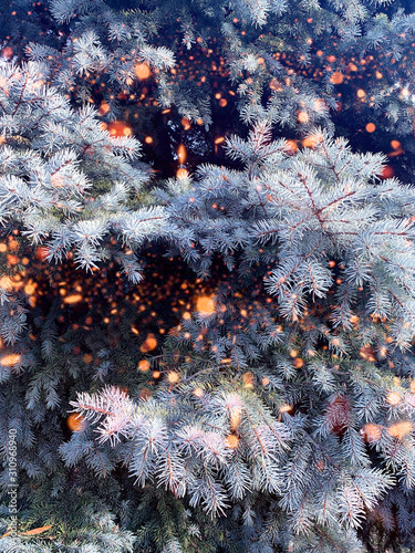 Winter christmas background...