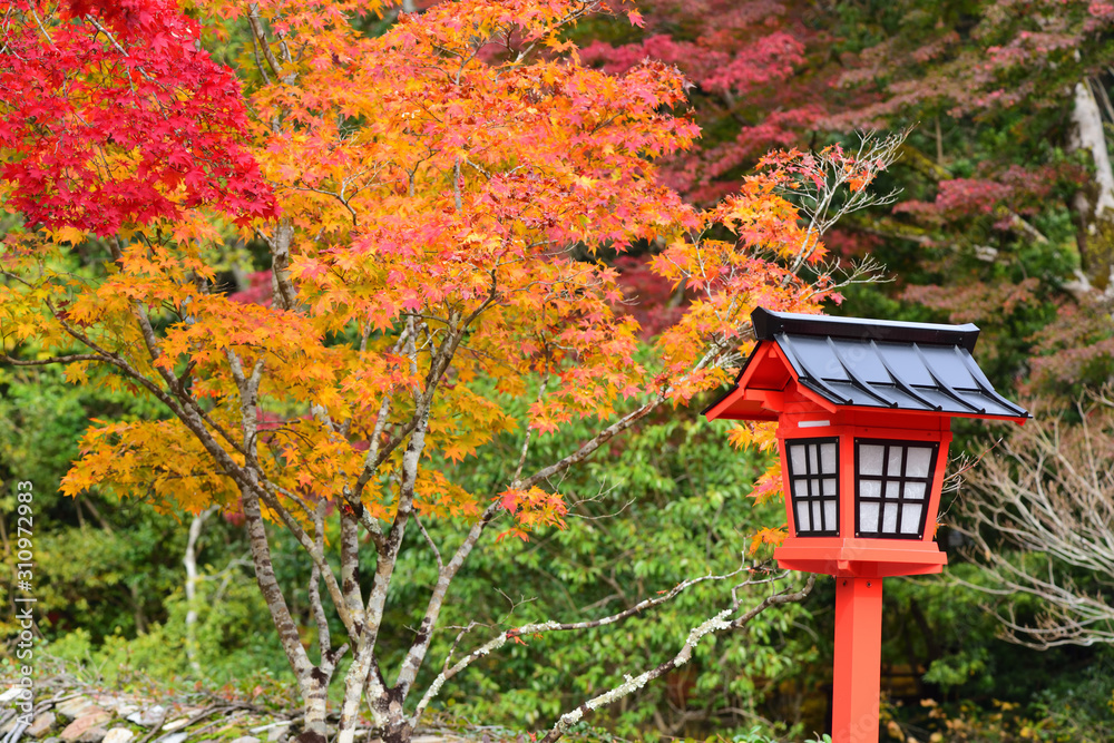 Red lantern in autumn season in the japanese garden in Minoo park, Japan Red lantern in autumn season in the japanese garden in Minoo park, Japan