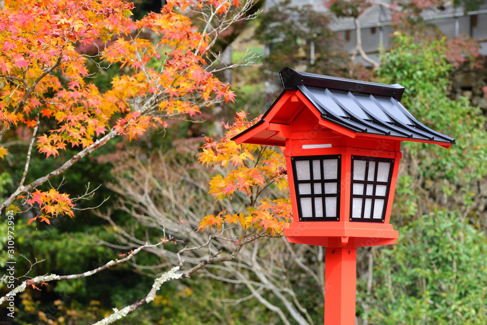 Red lantern in autumn season in the japanese garden in Minoo park, Japan Red lantern in autumn season in the japanese garden in Minoo park, Japan