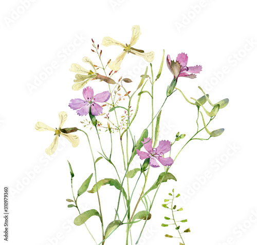 Watercolor wild flowers on a white background