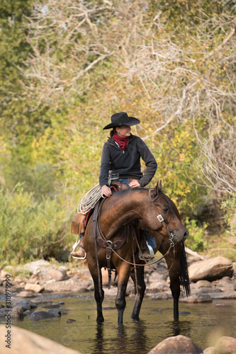 Cowgirl Crossing Creek © Terri Cage 