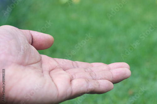 close up of hand open with blurred green grass background, space for design. © HarryKiiM Stock