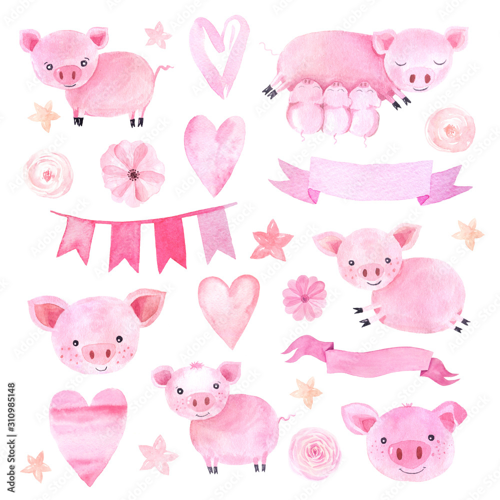 Watercolor cute pigs characters set