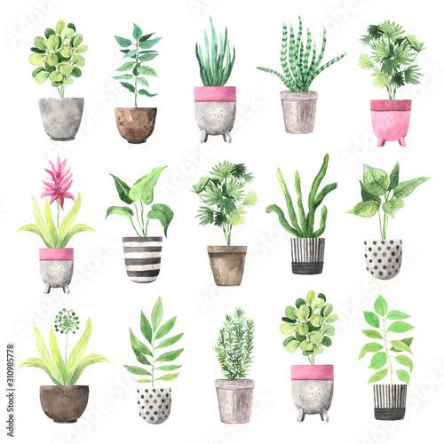 Watercolor  house green plants in flower pots