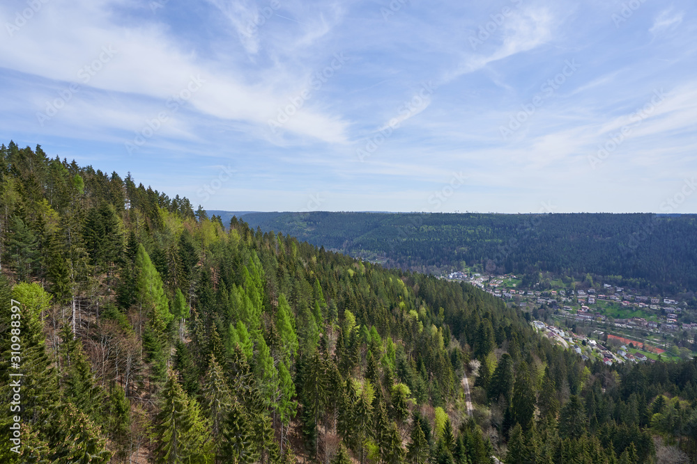 Picturesque European landscape with mixed coniferous and deciduous forest on a background of a mountain valley with houses in the forest Schwarzwald, Germany