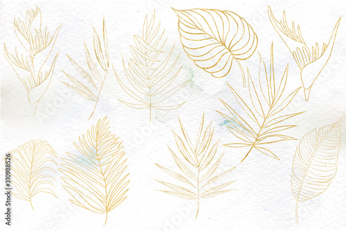 Watercolor set with gold tropical leaves  flower.