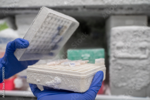 The researcher opens the storage box that keeps the sample in -80C refrigerator. To finds samples of protein used for the further experiment for biochemical laboratory.