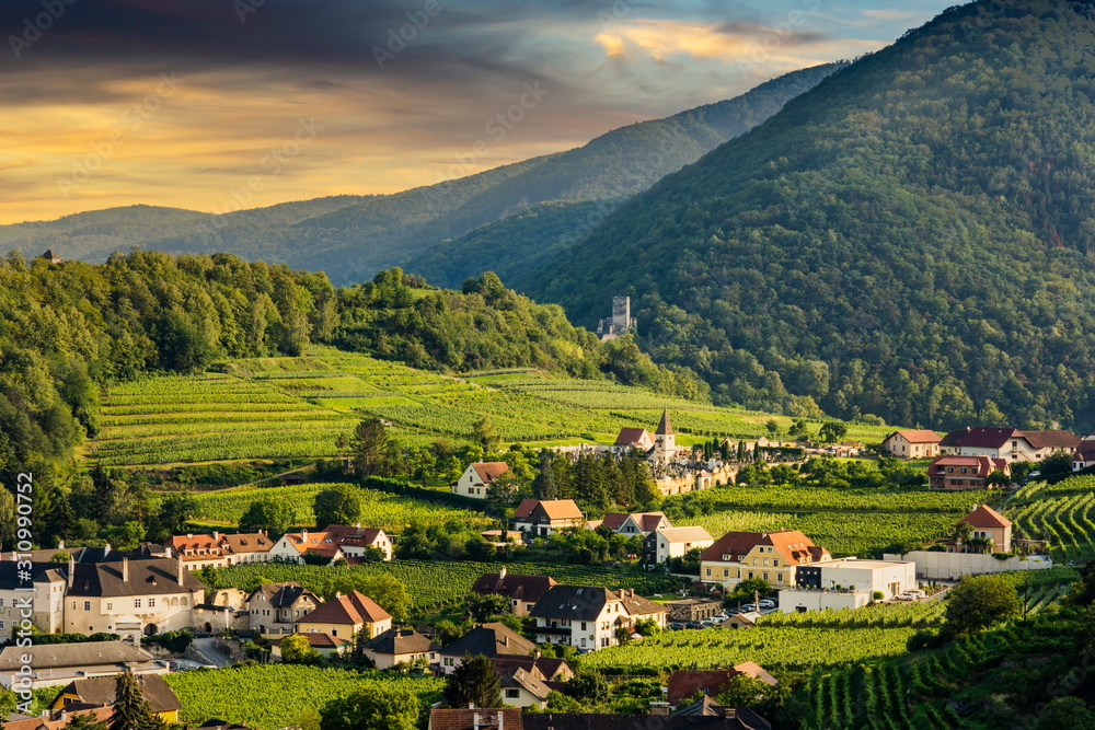 View over the village of Spitz on Danube river and vineyard landscape of Wachau, Lower Austria.