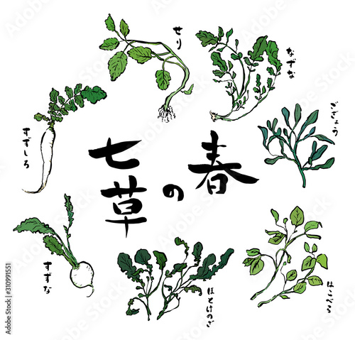 Spring herb (haru no nanakusa) Hand drawn
