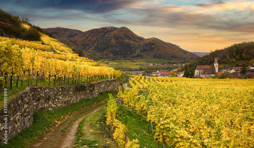 Famous Spitz village with autumn vineyards in Wachau valley, Austria.