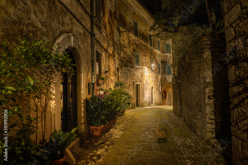 Cat on road in old Italian village at night