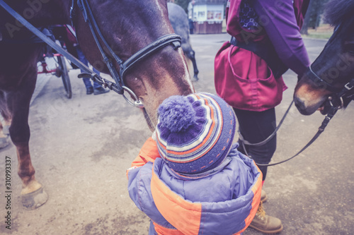 A little boy in turquoise overalls stroking an Icelandic pony horse with a funny forelock. The kid thanks the horse after hippotherapy.