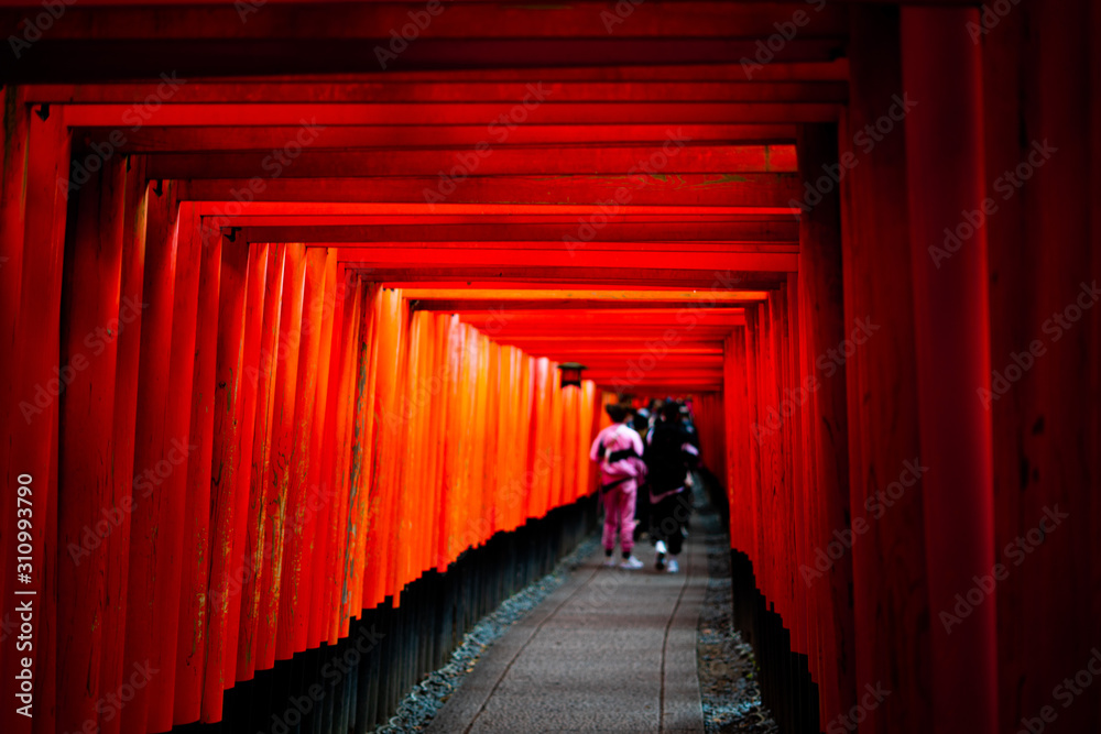 Fototapeta premium 月見稲荷大社