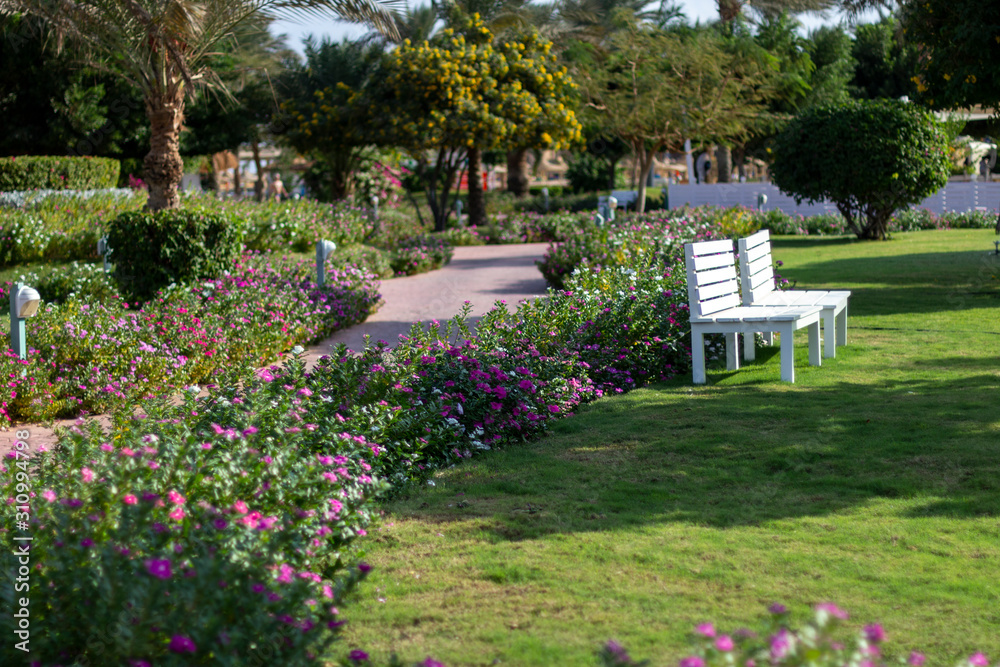 Recreation area at the resort with white benches.