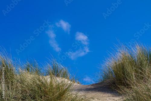 small path through the dunes at the beach with grass and clouds in the blue sky forming a heart shape in the background