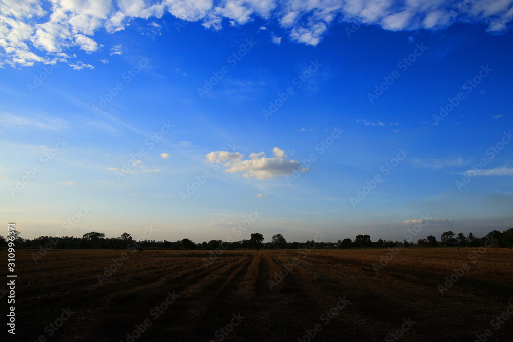 a single cloud in a clear sky scene surrounded by glove of clouds. low hanging cloud over a harvested rice field.