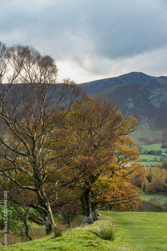 Beautiful Autumn Fall landscape view along valley towards Mellbreak and Grasmoor in Lake District with vibrant epic lighting in late afternoon Beautiful Autumn Fall landscape view along valley towards Mellbreak and Grasmoor in Lake District with vibrant epic lighting in late afternoon