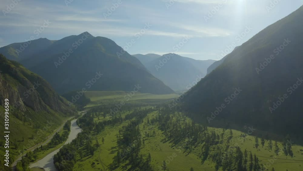 Aerial Drone View: Flight over pine tree forest and river in sunset soft light. Mountain range in background. Nature, travel, holidays. Camera go up. 4K motion