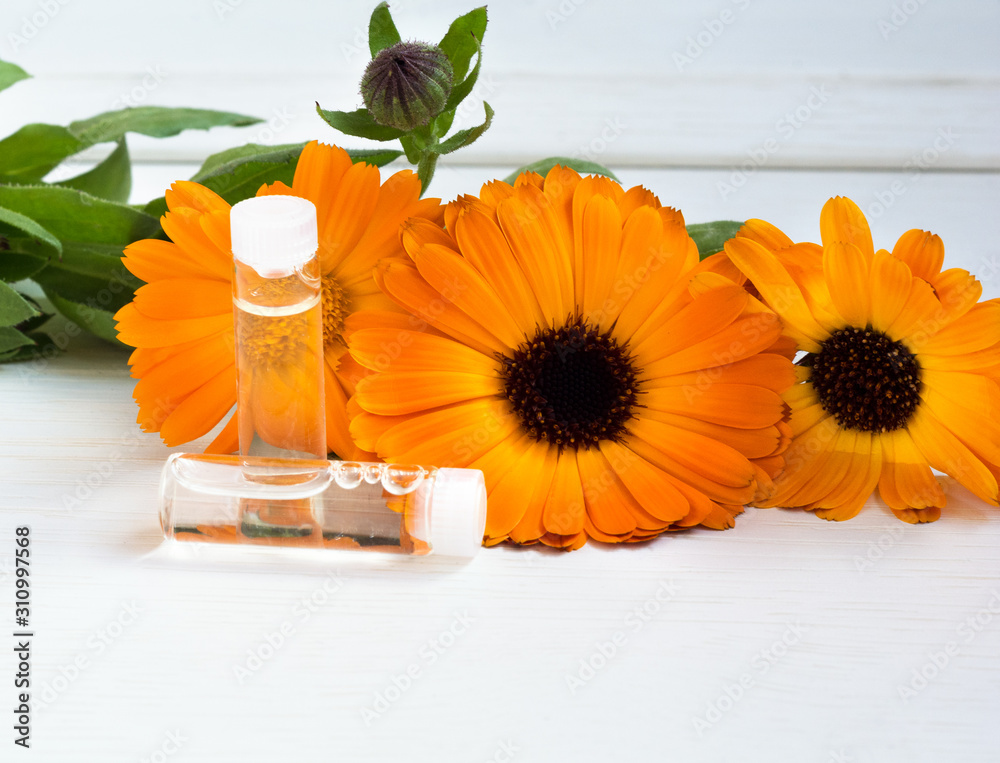 Fresh orange flowers of calendula officinalis and bottles of cosmetic oils. close-up on a light background. The concept of cosmetology. copy space - obrazy, fototapety, plakaty 